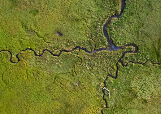 Aerial view of a marsh with green vegetation and winding waterway.